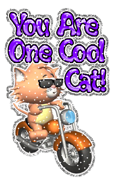 You are one cool cat!