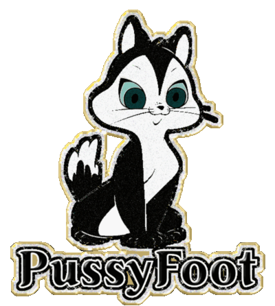PUSSYFOOT CAT