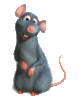 Ratatoui