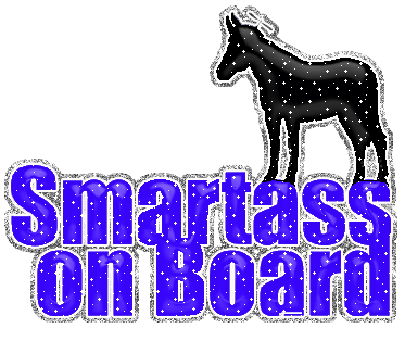 Smartass On Board