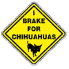 I Brake For Chihuahuas