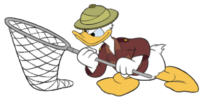 donald with a net