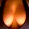 boobs