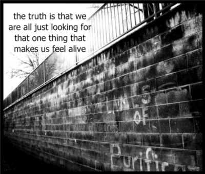 the truth is that we are all just looking for that one thing that makes us feel alive