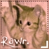 cute rawr