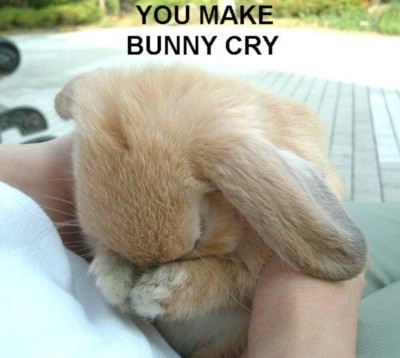 Bunny crying