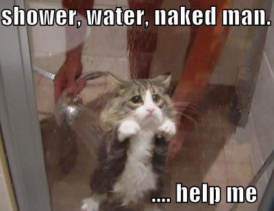shower, water, naked man