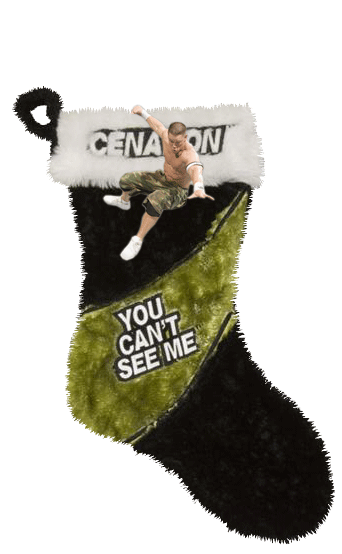 JOHN CENA (STOCKING)