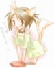 Anime cat girl
