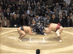 fight cool sumo
