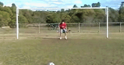 funny ball kick sport