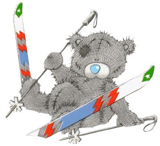 Teddy skiing