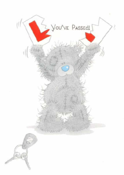 You've Passed! Teddy