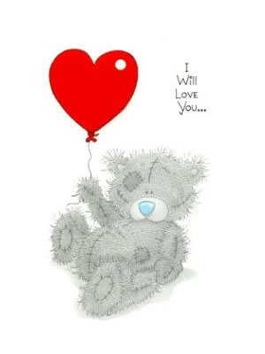 I Will Love You... Teddy