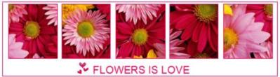 Flovers is love
