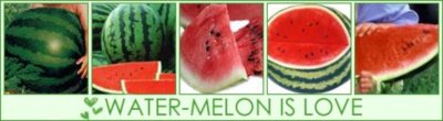 Water-melon is love