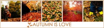 Autumn is love