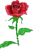 Glitter Flower Rose