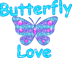 Glitter Butterfly Love