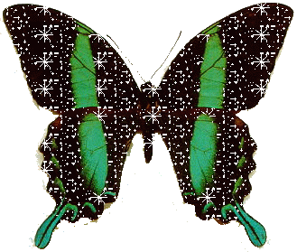 Glitter butterfly