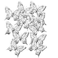 Glitter butterflys