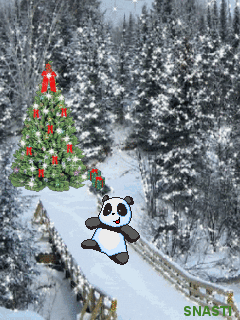 Happy New year! panda