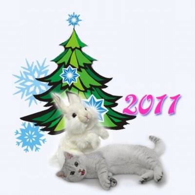 Happy New year! 2011