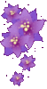 Glitter Flowers