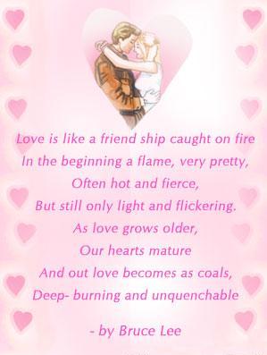 Love is like a friend ship caught on fire in the beginning a flame, very pretty, often hot and fierce....