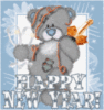 Happy New year! Teddy