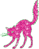 Glitter Cat Pink