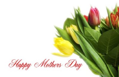 Happy Mother's Day tulips