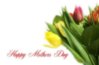 Happy Mother's Day tulips