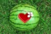 Summer watermelon heart