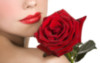 Beautiful lips & rose