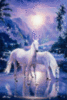 Fantasy Horses