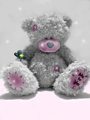 Teddy Me to You