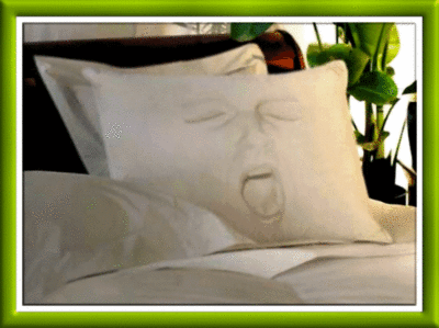 Funny pillow