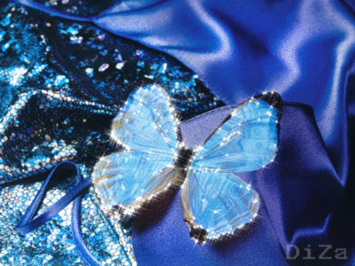 Glitter Blue butterfly