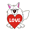 Love Heart. Cat