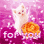 For you. Cat