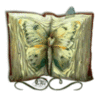 Butterfly book