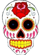 Multicolored Skull