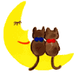 Cats in Love on the Moon