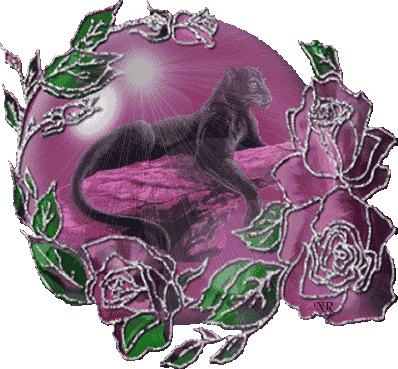 Black Puma in purple