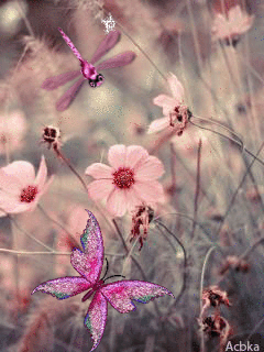 Butterfly in the flowers