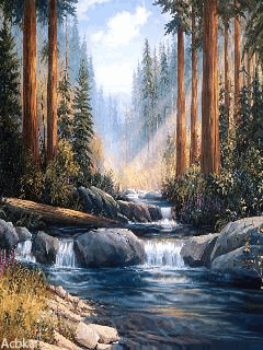 River in the woods