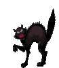 BOOO Black Cat