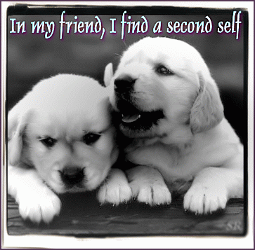 In My Friend I Find A Second Self