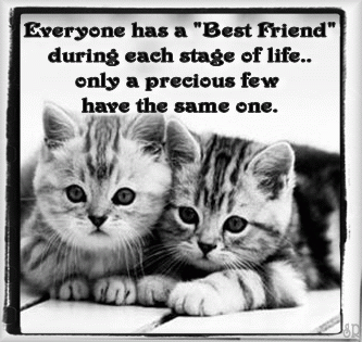 Everyone Has A Best Friend